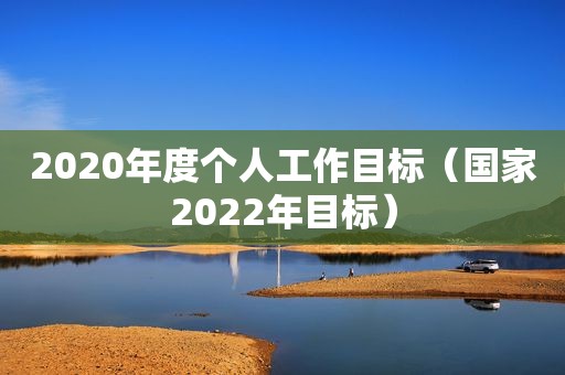 2020年度个人工作目标（国家2022年目标）