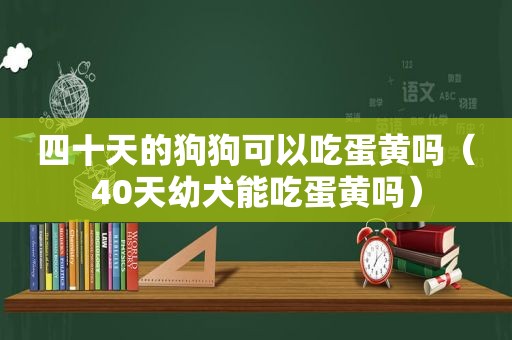 四十天的狗狗可以吃蛋黄吗（40天幼犬能吃蛋黄吗）