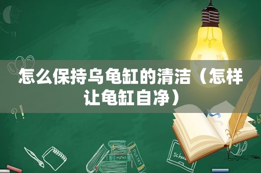 怎么保持乌龟缸的清洁（怎样让龟缸自净）