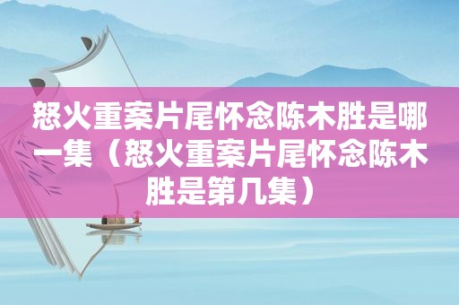 怒火重案片尾怀念陈木胜是哪一集（怒火重案片尾怀念陈木胜是第几集）