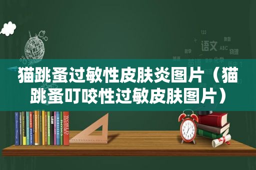 猫跳蚤过敏性皮肤炎图片（猫跳蚤叮咬性过敏皮肤图片）