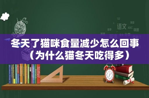 冬天了猫咪食量减少怎么回事（为什么猫冬天吃得多）