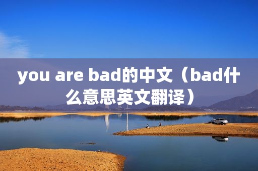 you are bad的中文（bad什么意思英文翻译）