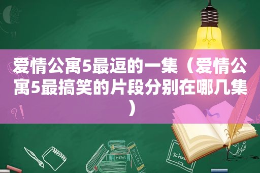 爱情公寓5最逗的一集（爱情公寓5最搞笑的片段分别在哪几集）