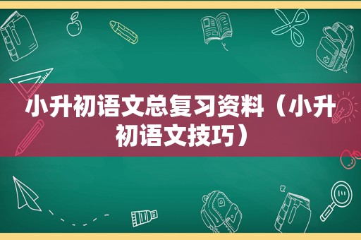 小升初语文总复习资料（小升初语文技巧）