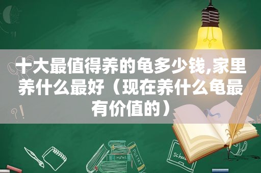 十大最值得养的龟多少钱,家里养什么最好（现在养什么龟最有价值的）