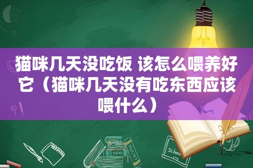 猫咪几天没吃饭 该怎么喂养好它（猫咪几天没有吃东西应该喂什么）