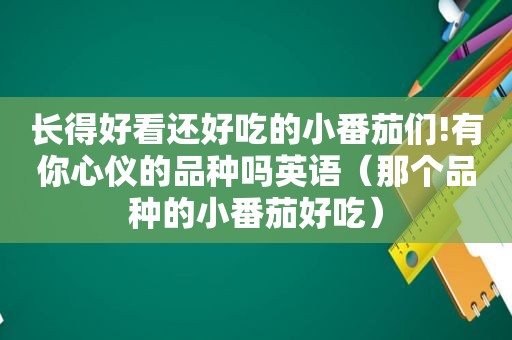 长得好看还好吃的小番茄们!有你心仪的品种吗英语（那个品种的小番茄好吃）