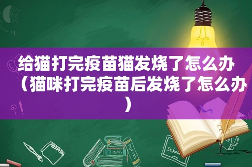 给猫打完疫苗猫发烧了怎么办（猫咪打完疫苗后发烧了怎么办）