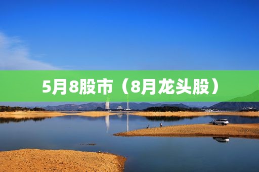 5月8股市（8月龙头股）