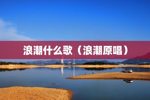 浪潮什么歌（浪潮原唱）