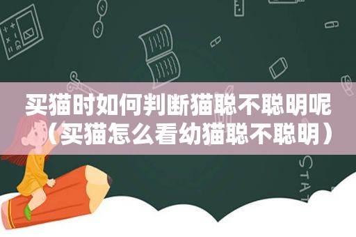 买猫时如何判断猫聪不聪明呢（买猫怎么看幼猫聪不聪明）