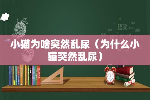 小猫为啥突然乱尿（为什么小猫突然乱尿）