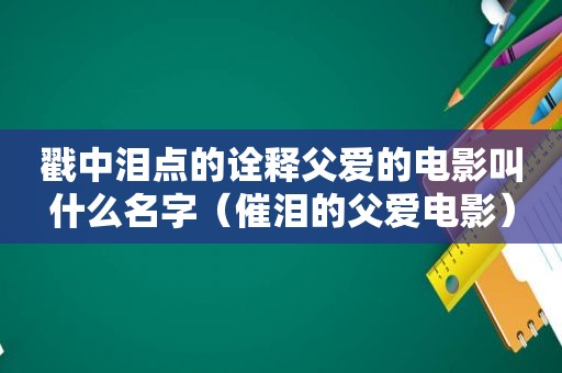 戳中泪点的诠释父爱的电影叫什么名字（催泪的父爱电影）