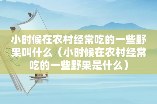 小时候在农村经常吃的一些野果叫什么（小时候在农村经常吃的一些野果是什么）