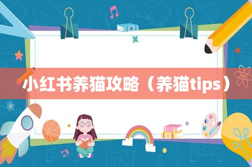 小红书养猫攻略（养猫tips）