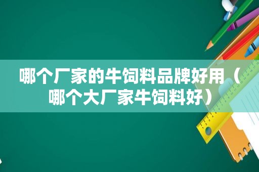 哪个厂家的牛饲料品牌好用（哪个大厂家牛饲料好）