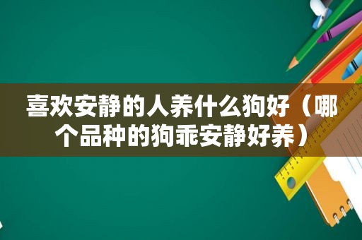 喜欢安静的人养什么狗好（哪个品种的狗乖安静好养）