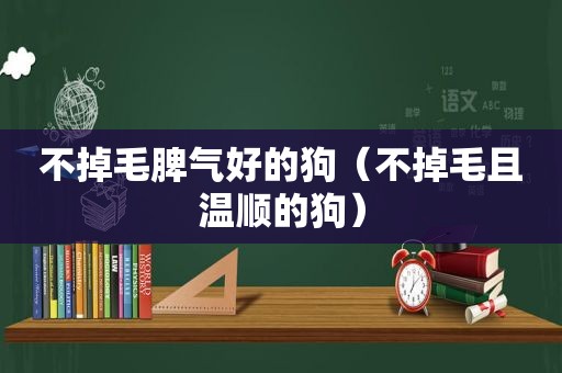 不掉毛脾气好的狗（不掉毛且温顺的狗）