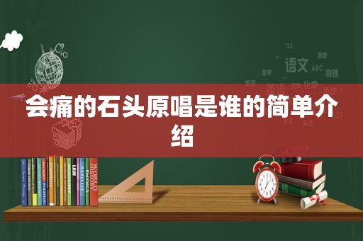 会痛的石头原唱是谁的简单介绍