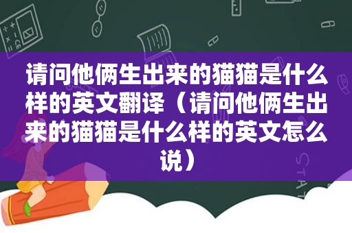 请问他俩生出来的猫猫是什么样的英文翻译（请问他俩生出来的猫猫是什么样的英文怎么说）