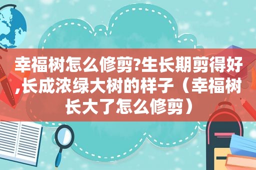 幸福树怎么修剪?生长期剪得好,长成浓绿大树的样子（幸福树长大了怎么修剪）