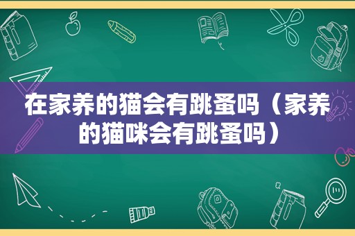 在家养的猫会有跳蚤吗（家养的猫咪会有跳蚤吗）