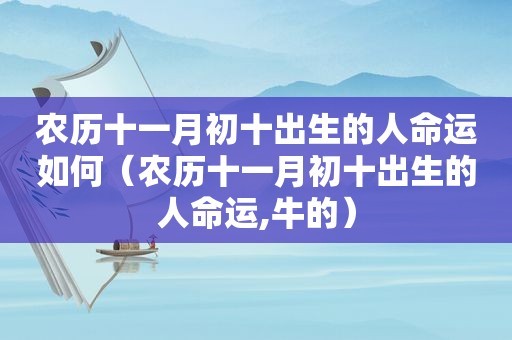 农历十一月初十出生的人命运如何（农历十一月初十出生的人命运,牛的）