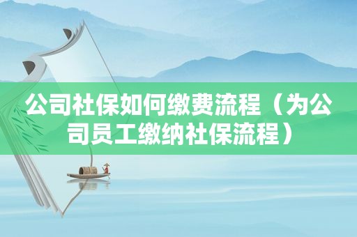 公司社保如何缴费流程（为公司员工缴纳社保流程）