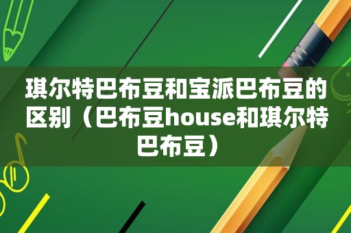 琪尔特巴布豆和宝派巴布豆的区别（巴布豆house和琪尔特巴布豆）