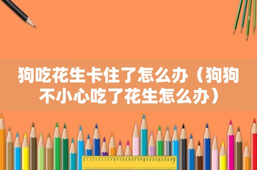 狗吃花生卡住了怎么办（狗狗不小心吃了花生怎么办）