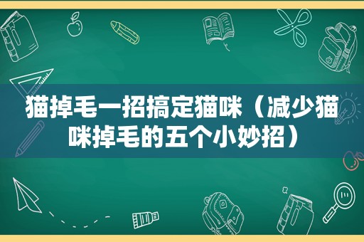 猫掉毛一招搞定猫咪（减少猫咪掉毛的五个小妙招）