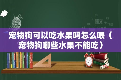 宠物狗可以吃水果吗怎么喂（宠物狗哪些水果不能吃）