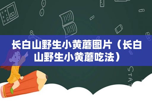 长白山野生小黄蘑图片（长白山野生小黄蘑吃法）