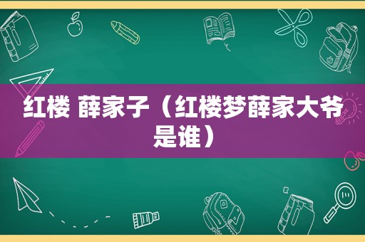 红楼 薛家子（红楼梦薛家大爷是谁）