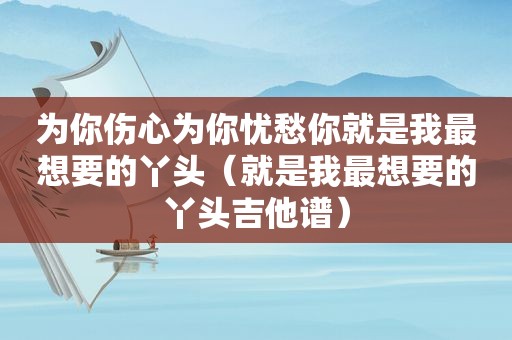 为你伤心为你忧愁你就是我最想要的丫头（就是我最想要的丫头吉他谱）