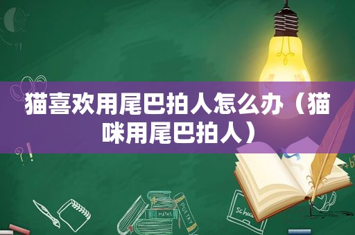 猫喜欢用尾巴拍人怎么办（猫咪用尾巴拍人）