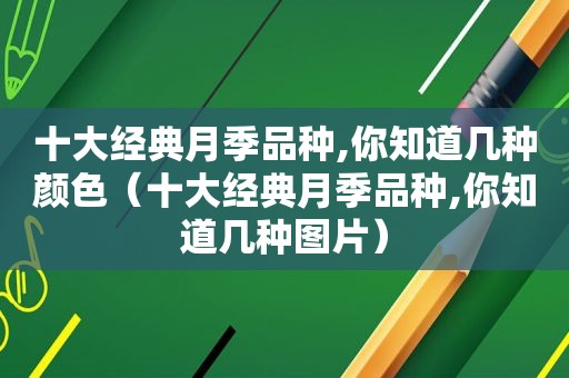 十大经典月季品种,你知道几种颜色（十大经典月季品种,你知道几种图片）