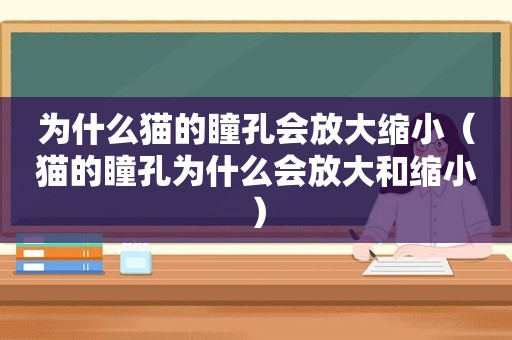 为什么猫的瞳孔会放大缩小（猫的瞳孔为什么会放大和缩小）