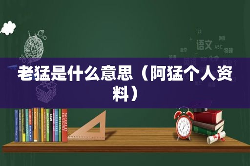 老猛是什么意思（阿猛个人资料）