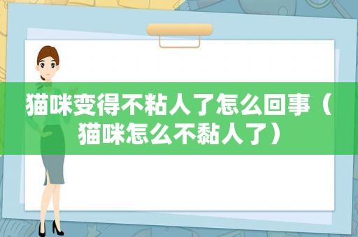 猫咪变得不粘人了怎么回事（猫咪怎么不黏人了）