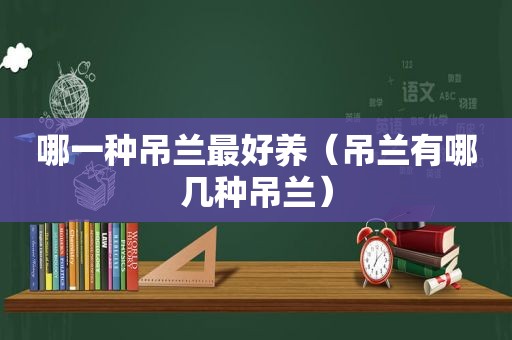 哪一种吊兰最好养（吊兰有哪几种吊兰）