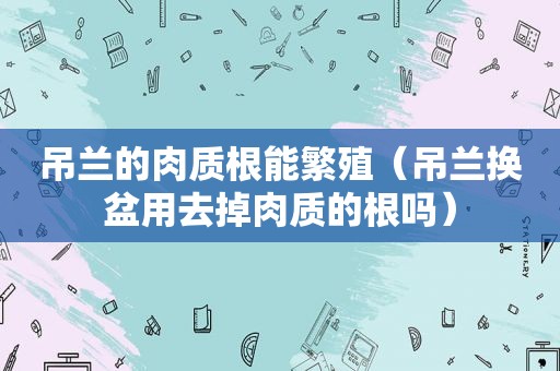 吊兰的肉质根能繁殖（吊兰换盆用去掉肉质的根吗）