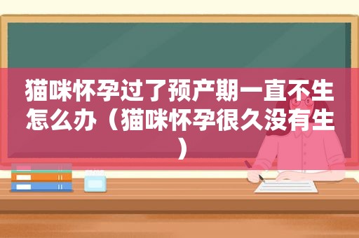 猫咪怀孕过了预产期一直不生怎么办（猫咪怀孕很久没有生）