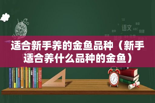 适合新手养的金鱼品种（新手适合养什么品种的金鱼）