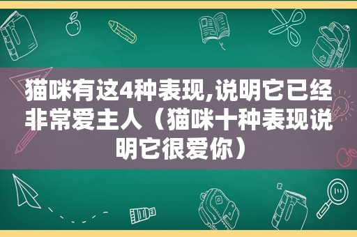 猫咪有这4种表现,说明它已经非常爱主人（猫咪十种表现说明它很爱你）