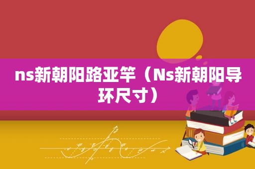 ns新朝阳路亚竿（Ns新朝阳导环尺寸）