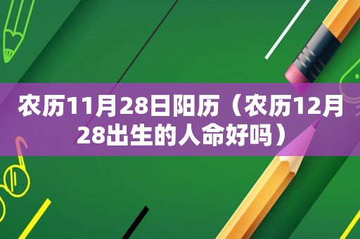 农历11月28日阳历（农历12月28出生的人命好吗）