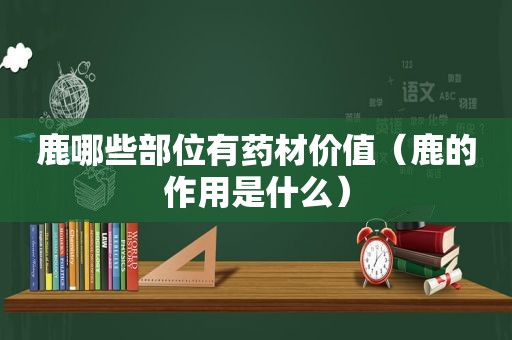 鹿哪些部位有药材价值（鹿的作用是什么）