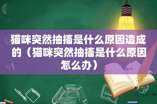 猫咪突然抽搐是什么原因造成的（猫咪突然抽搐是什么原因怎么办）